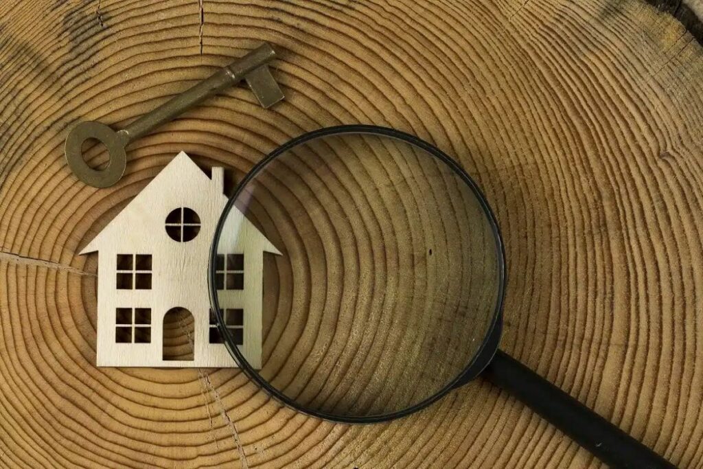The Importance of Property Searches 