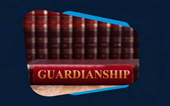 Final Thoughts: Your Conveyancer Is Your Legal Guardian