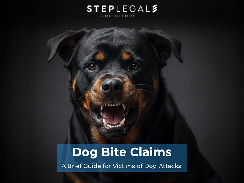 dog bite claims